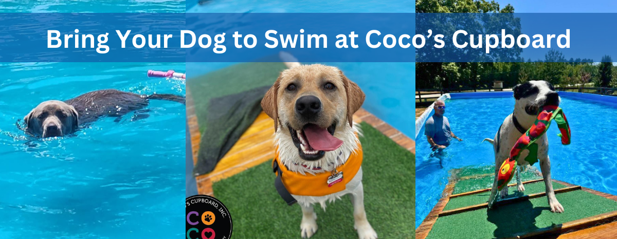 April 23rd, 24th, 25th, & 26th: Pool Registrations